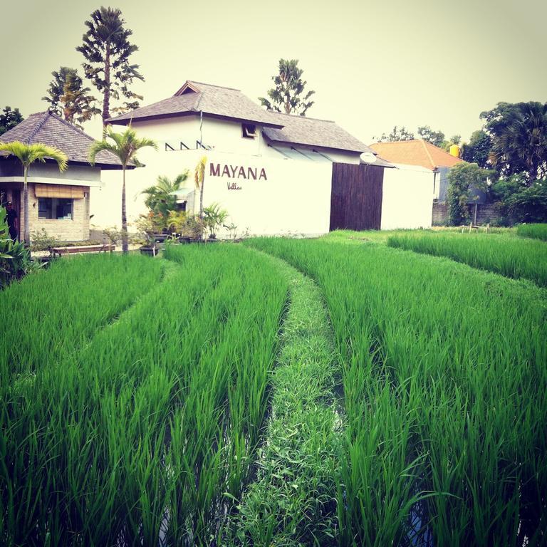 Mayana Villas Canggu  Luaran gambar